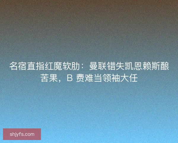 名宿直指红魔软肋：曼联错失凯恩赖斯酿苦果，B 费难当领袖大任